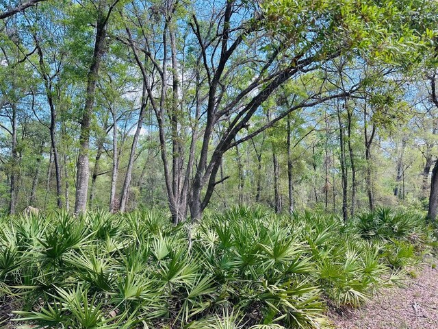 0 NW 30th St, Chiefland, FL 32626 - photo 1