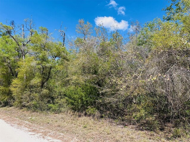 0 NW 30th St, Chiefland, FL 32626 - photo 3