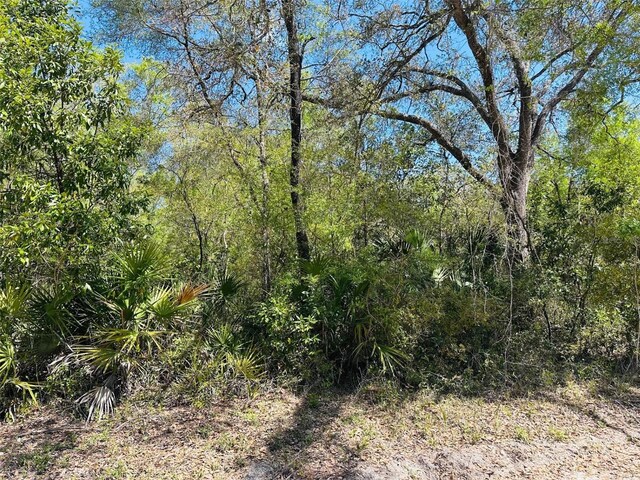 0 NW 30th St, Chiefland, FL 32626 - photo 5