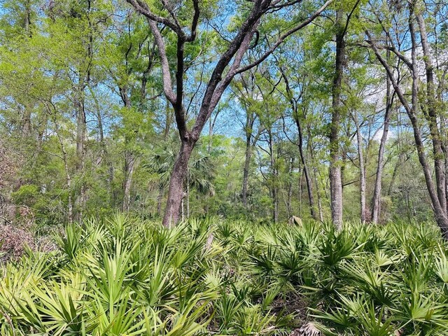 0 NW 30th St, Chiefland, FL 32626 - photo 6