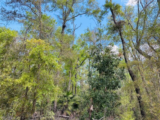 0 NW 30th St, Chiefland, FL 32626 - photo 7