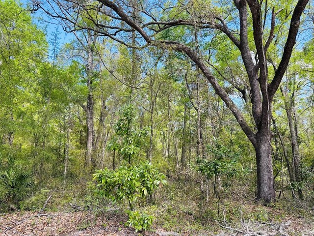0 NW 30th St, Chiefland, FL 32626 - photo 8