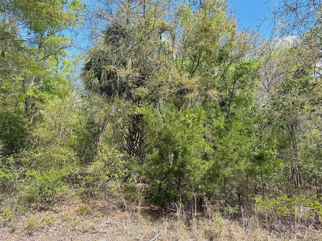 0 NW 30th St, Chiefland, FL 32626 - photo 9