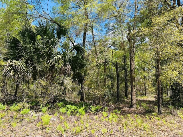 0 NW 30th St, Chiefland, FL 32626 - photo 10
