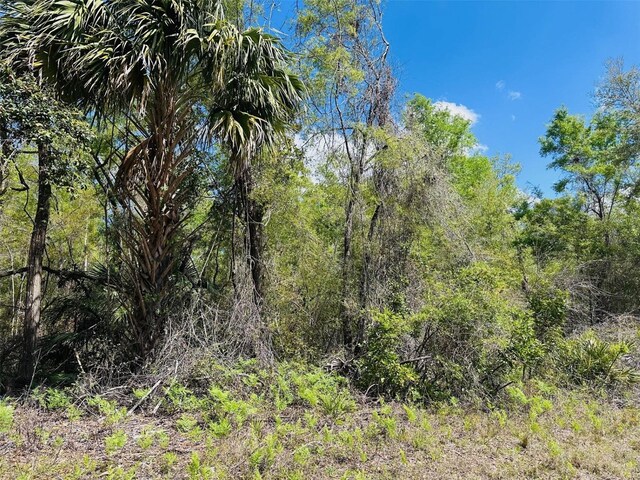 0 NW 30th St, Chiefland, FL 32626 - photo 11
