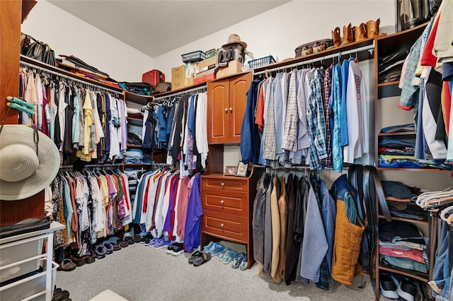 walk in closet with carpet floors