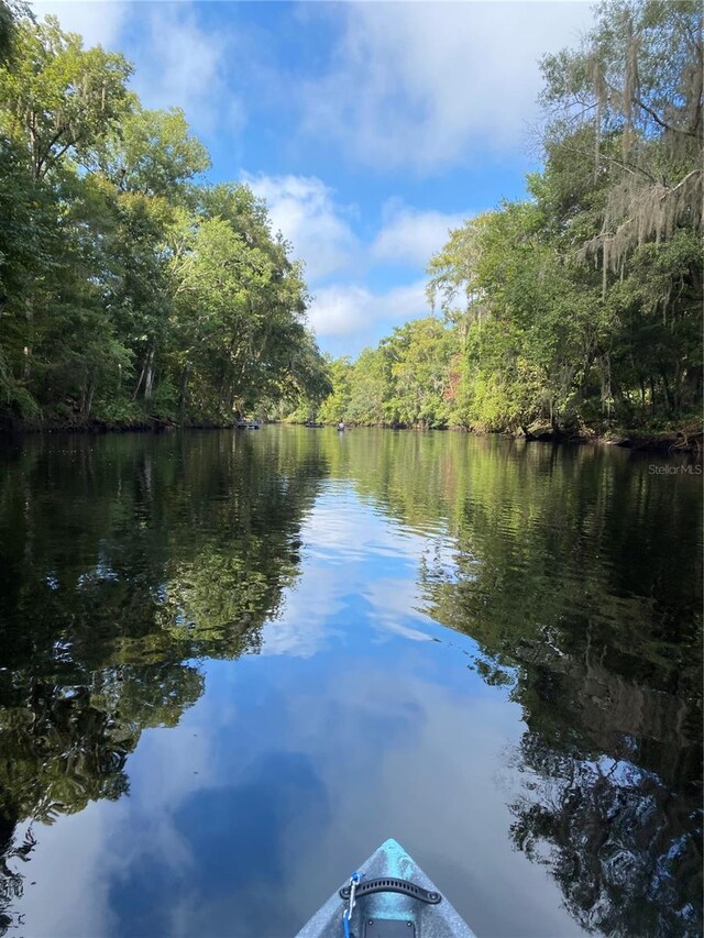 water view with a wooded view