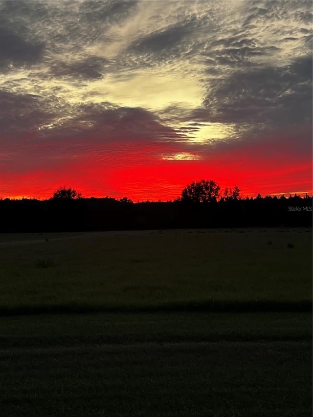 view of nature at dusk