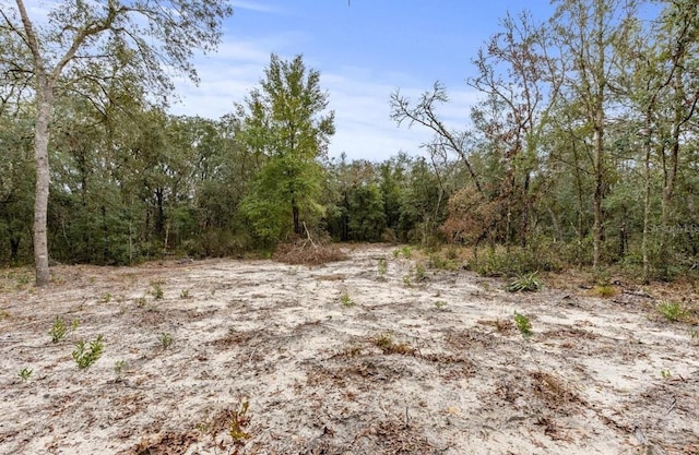 00 NE 73rd Ln, Bronson, FL 32621 - photo 5