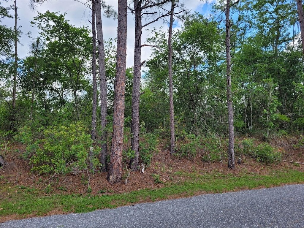 TBD County Road 18, Fort White, FL 32038 - photo 1