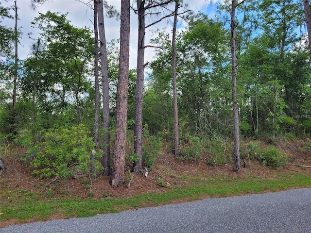 TBD County Road 18, Fort White, FL 32038 - photo 1