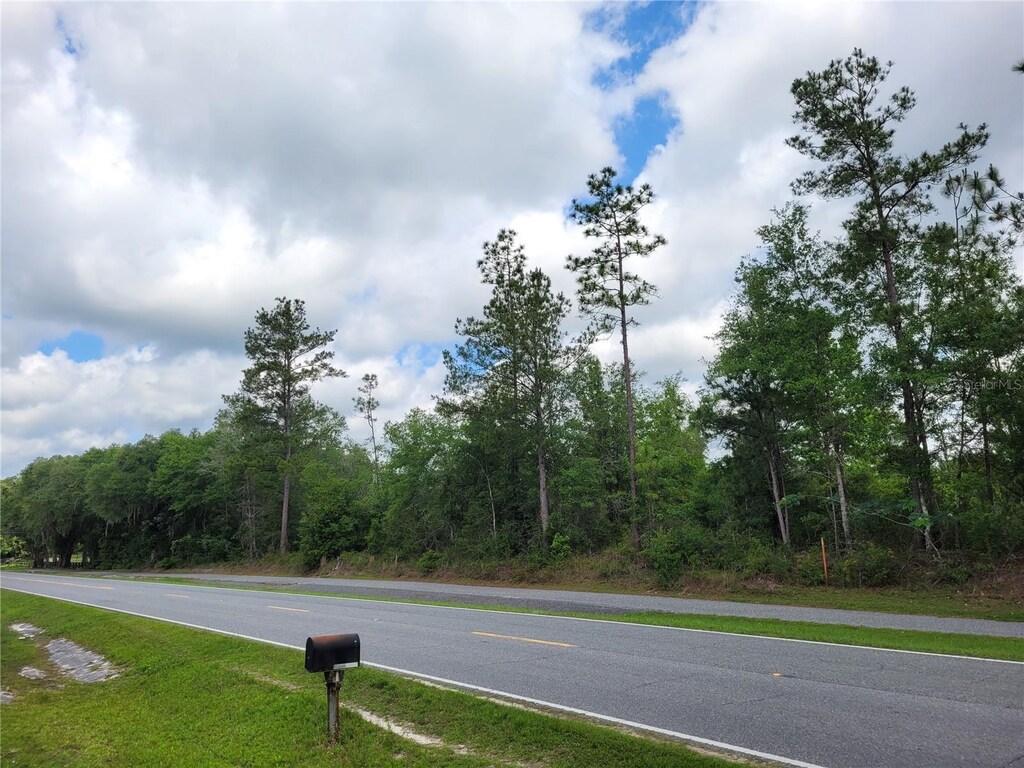 TBD County Road 18, Fort White, FL 32038 - photo 3