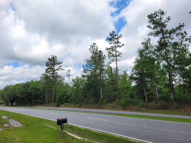 TBD County Road 18, Fort White, FL 32038 - photo 3