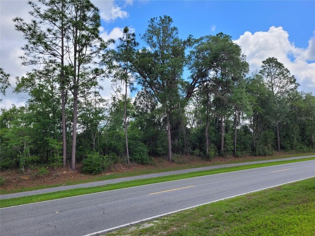 TBD County Road 18, Fort White, FL 32038 - photo 4