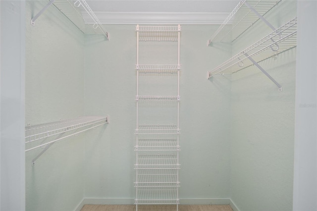 3200 NW 21st Ave, Gainesville, FL 32605 - view of walk in closet
