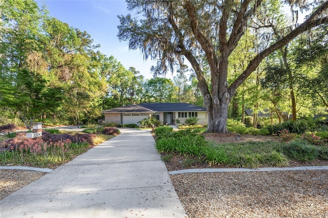 3200 NW 21st Ave, Gainesville, FL 32605 - single story home with concrete driveway and a garage