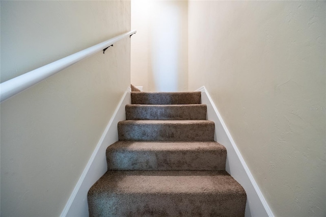 stairway featuring carpet flooring