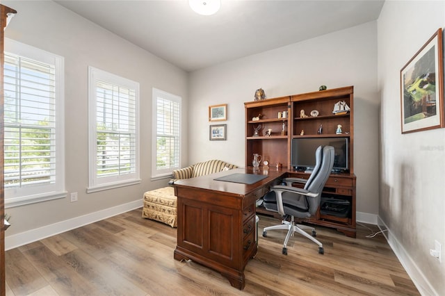 1272 NW 132nd Blvd, Newberry, FL 32669 - office with plenty of natural light, light wood-type flooring, and baseboards