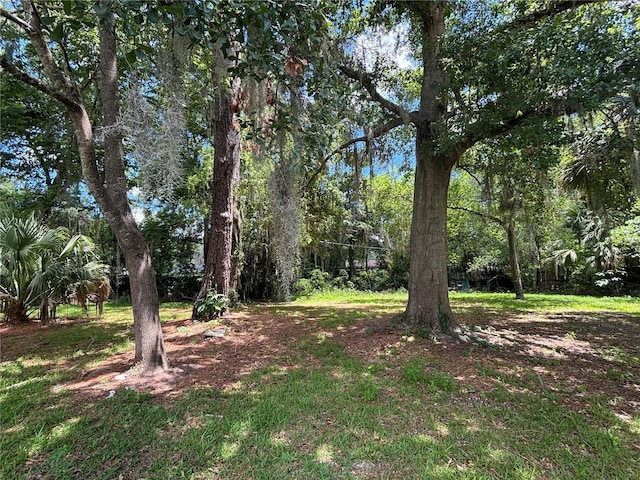 1110 NW 39th Ave, Gainesville, FL 32609
