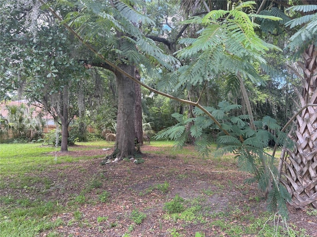 1110 NW 39th Ave, Gainesville, FL 32609