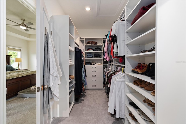 1487 NW 136th Blvd, Newberry, FL 32669 - walk in closet featuring ceiling fan, attic access, and light carpet