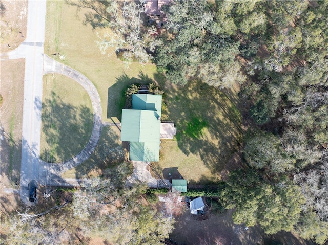 bird's eye view