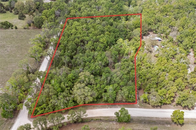 aerial view featuring a forest view