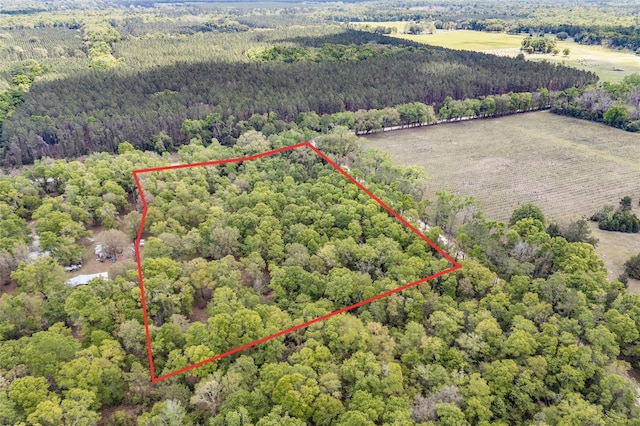 aerial view featuring a view of trees and a rural view