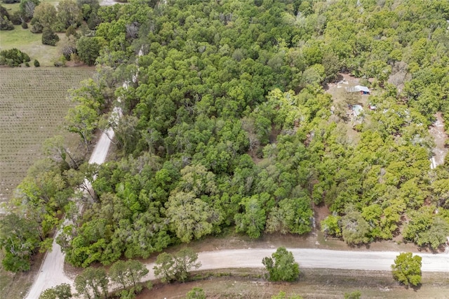 drone / aerial view with a forest view