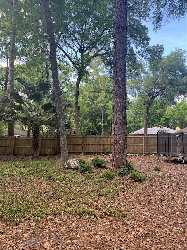 view of yard featuring a fenced backyard and a trampoline