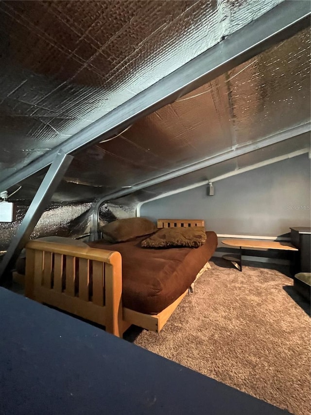 interior details featuring carpet floors