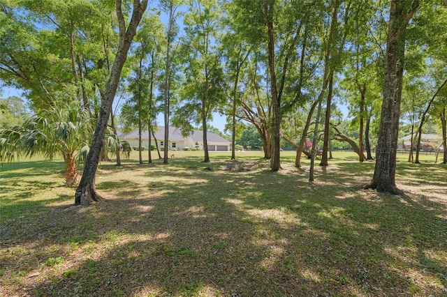14742 NW 11th Pl, Newberry, FL 32669 - photo 91