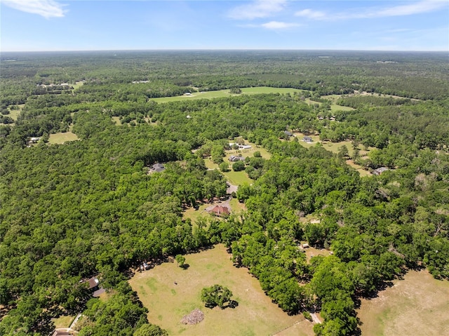 21324 NW 217th Dr, High Springs, FL 32643 - photo 61