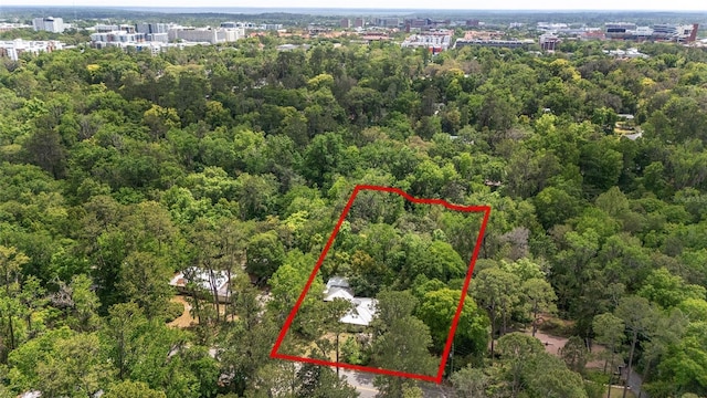 1711 NW 10th Ave, Gainesville, FL 32605 - view of property location featuring a forest and property parcel outlined