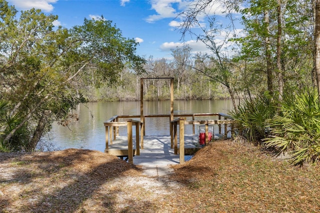 4250 NW 81st Ln, Bell, FL 32619 - view of dock with a water view