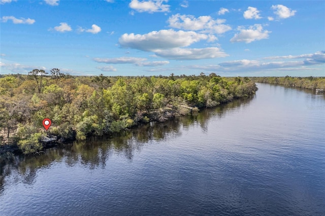 4250 NW 81st Ln, Bell, FL 32619 - property view of water featuring a wooded view