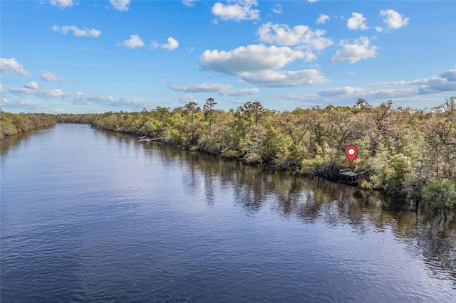 4250 NW 81st Ln, Bell, FL 32619 - view of water feature featuring a view of trees