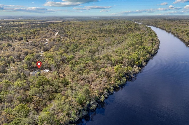 4250 NW 81st Ln, Bell, FL 32619 - drone / aerial view featuring a water view and a view of trees