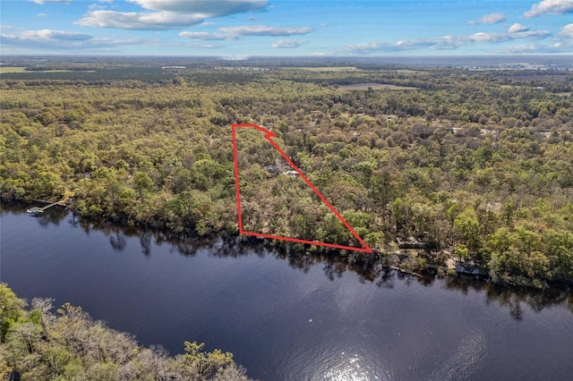 4250 NW 81st Ln, Bell, FL 32619 - birds eye view of property with a wooded view and a water view