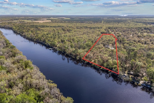 4250 NW 81st Ln, Bell, FL 32619 - birds eye view of property featuring a wooded view and a water view