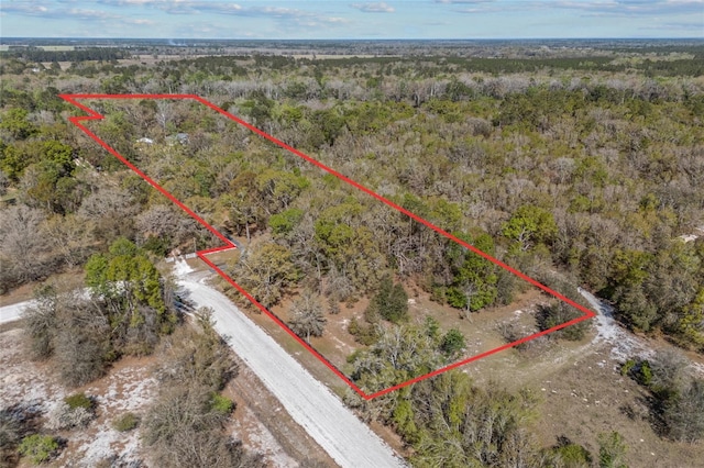 4250 NW 81st Ln, Bell, FL 32619 - aerial view featuring a view of trees