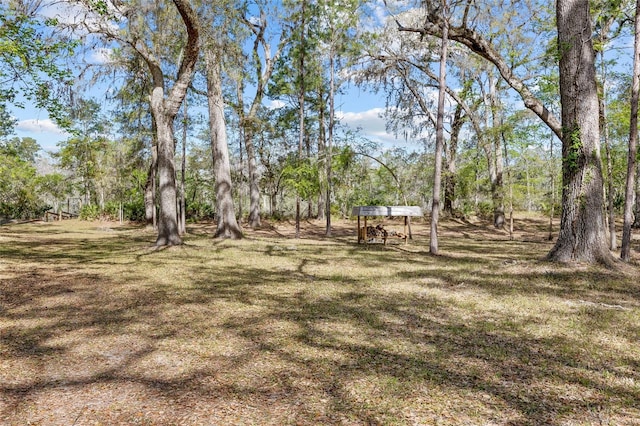 4250 NW 81st Ln, Bell, FL 32619 - view of yard
