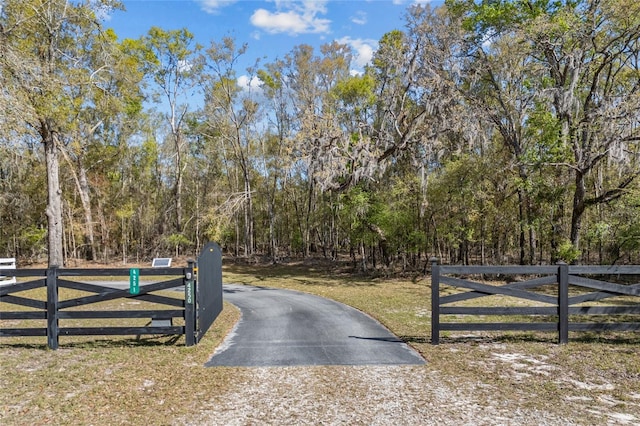 4250 NW 81st Ln, Bell, FL 32619 - view of street featuring a wooded view