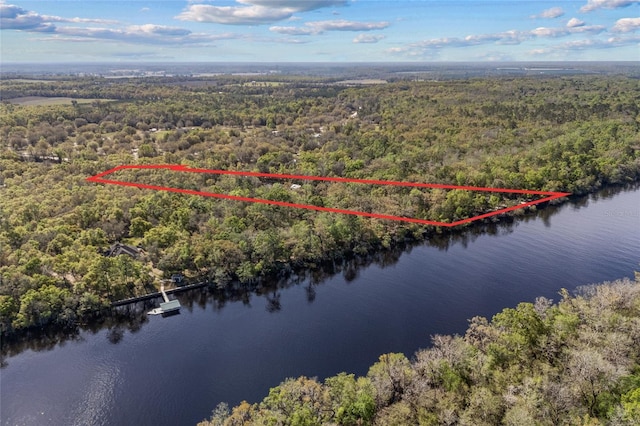 4250 NW 81st Ln, Bell, FL 32619 - drone / aerial view with a wooded view and a water view