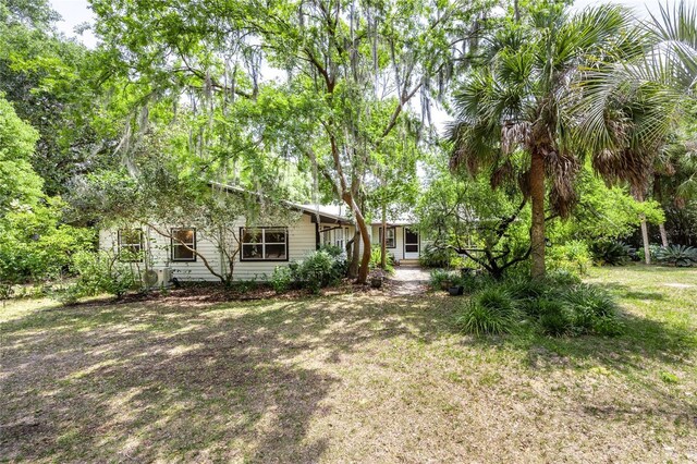 124 Mason Rd, Melrose, FL 32666 - photo 4