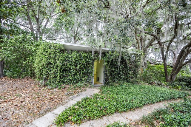 124 Mason Rd, Melrose, FL 32666 - photo 43