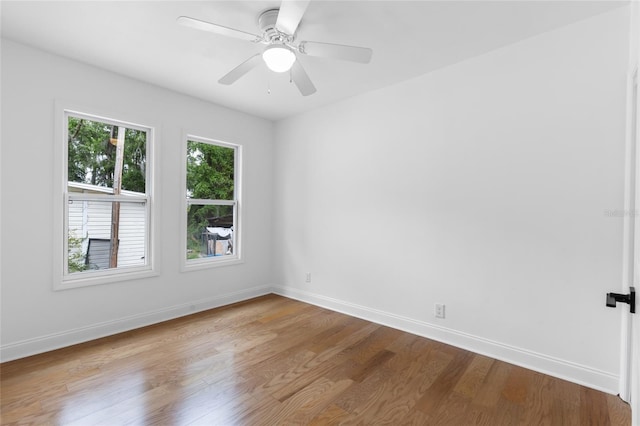 7818 NW County Road 236, Alachua, FL 32615 - photo 11
