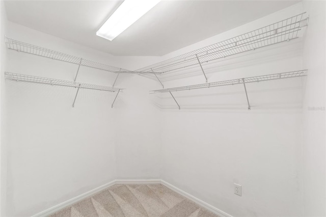 11764 NW 60th Dr, Alachua, FL 32615 - walk in closet with carpet