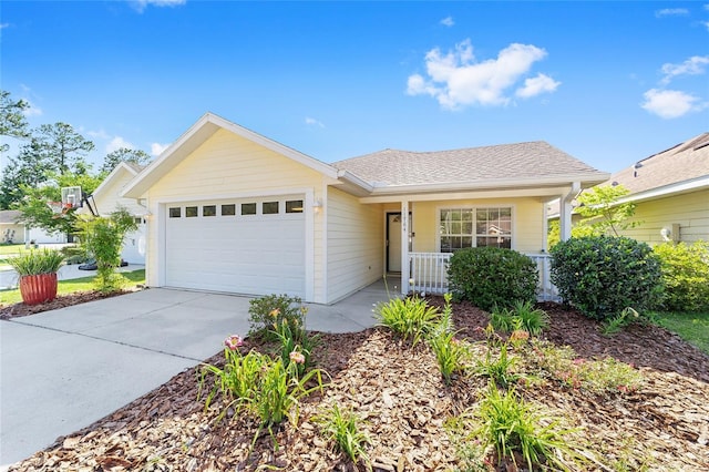 11764 NW 60th Dr, Alachua, FL 32615 - single story home with covered porch, a garage, and driveway