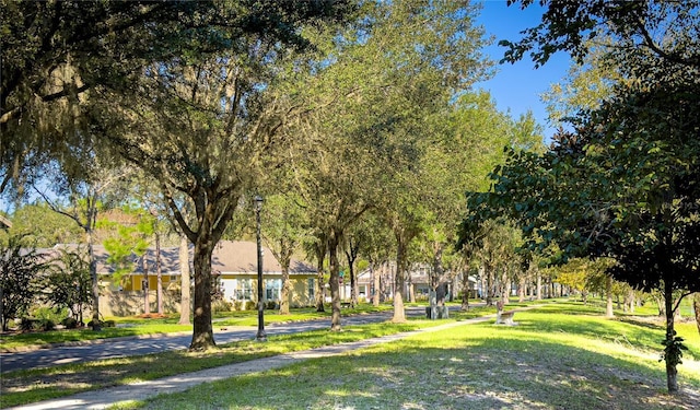 TBD NW 23rd Ter, Gainesville, FL 32605